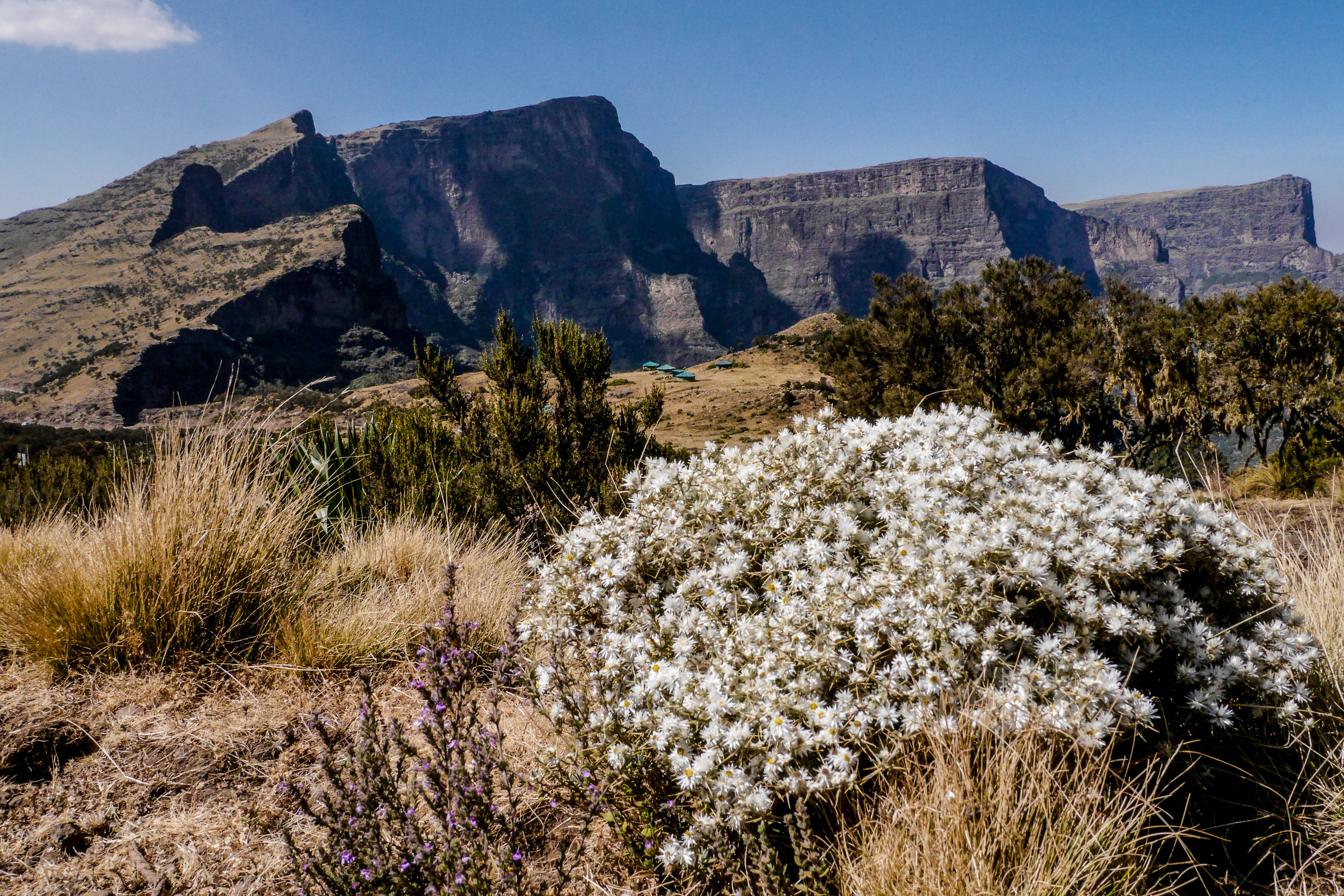 Simien Mountain