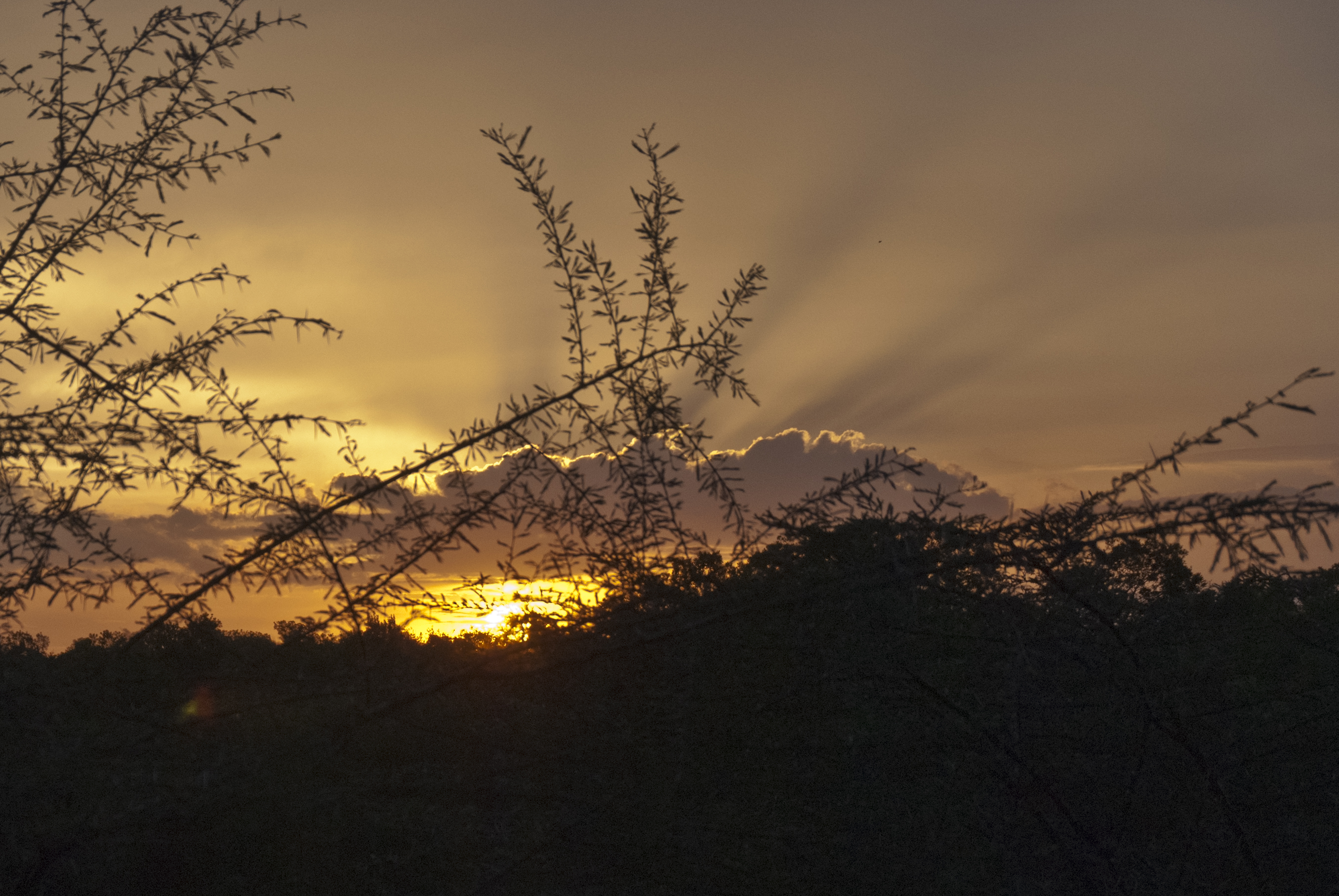 Abendstimmung