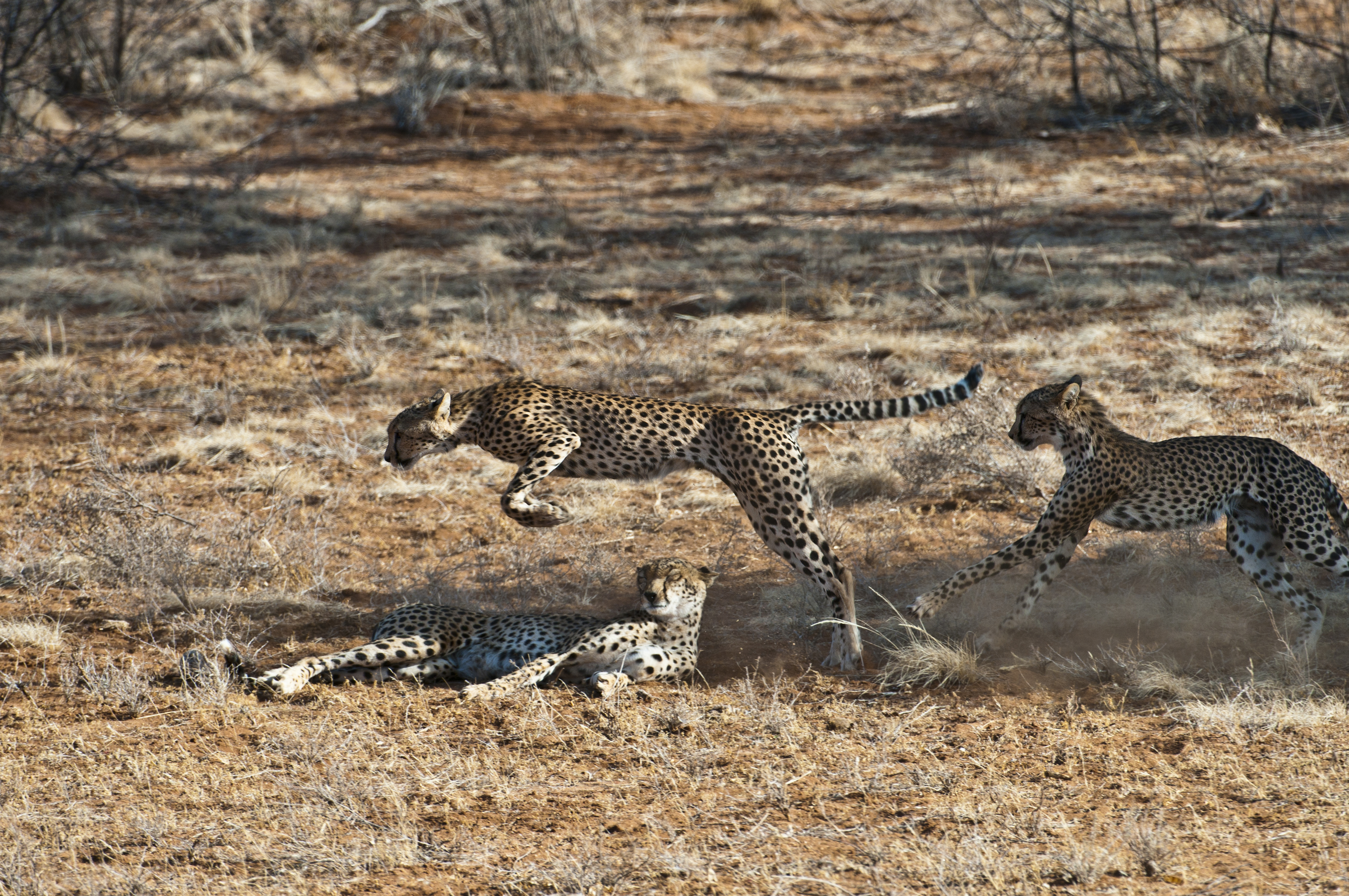 Samburu Sweetwater NP