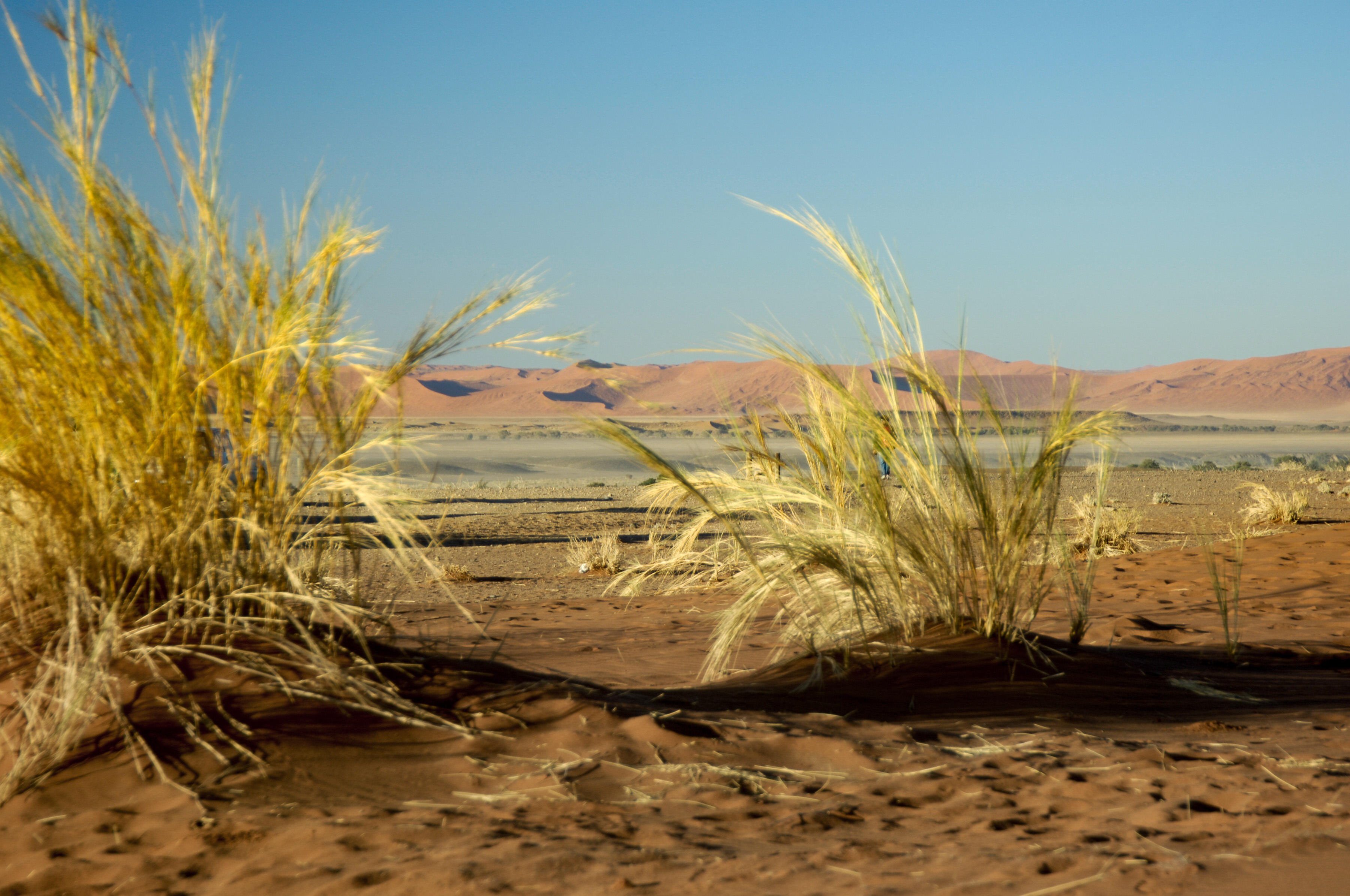 Sossusvlei
