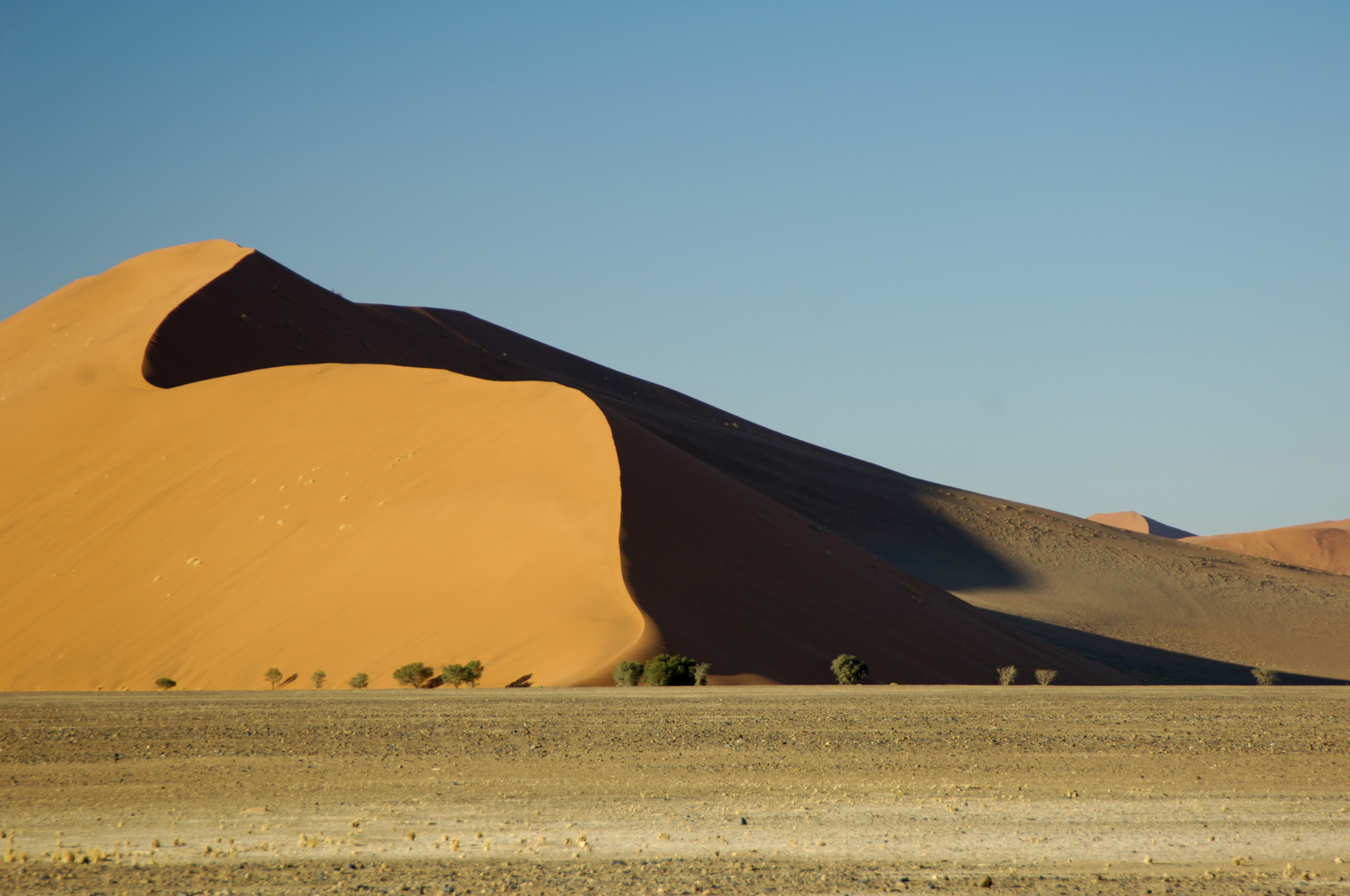 Grösste Düne im Sossusvlei
