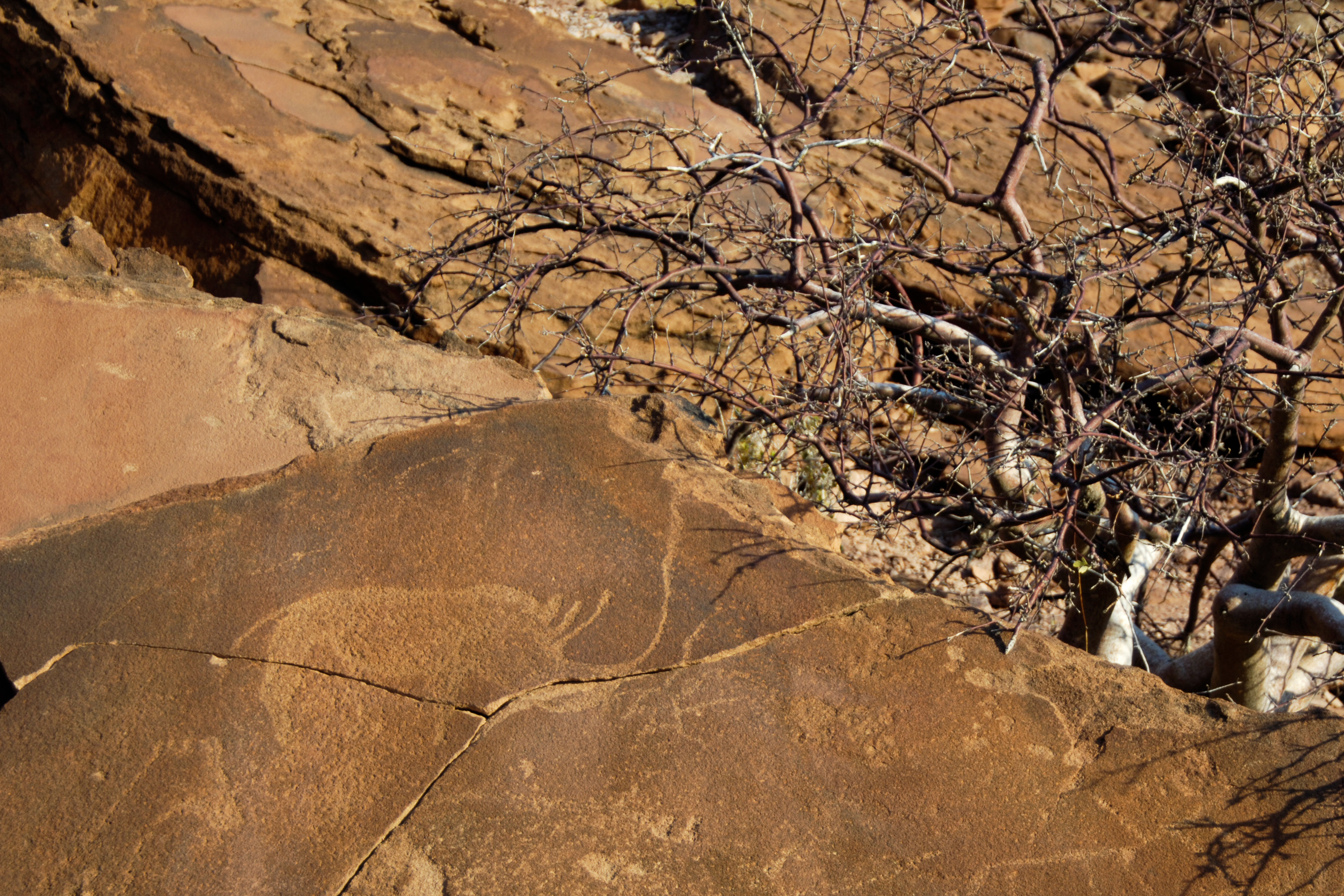 Felsenmalereien - Twyfelfontein