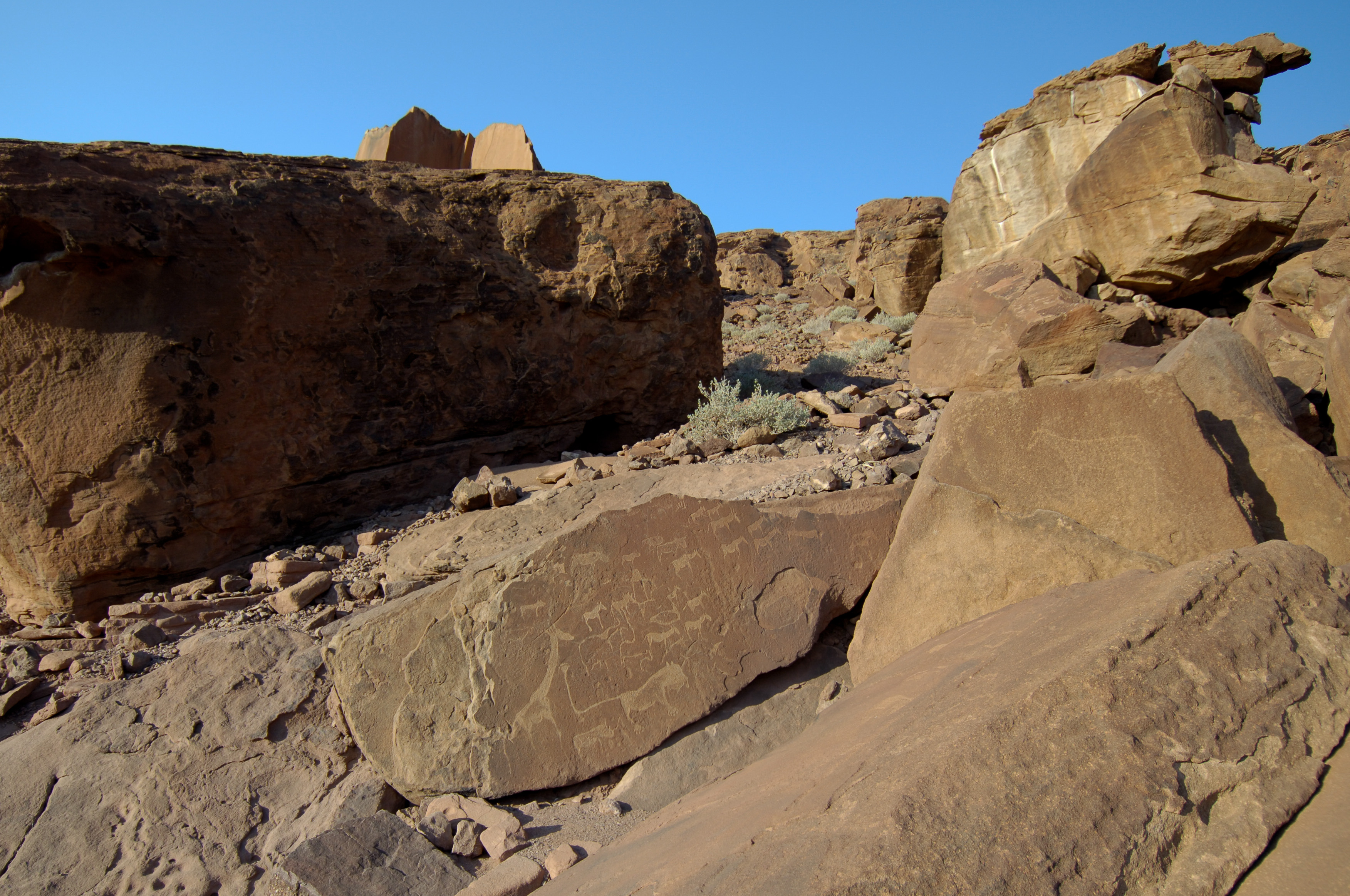 Felsenmalereien - Twyfelfontein