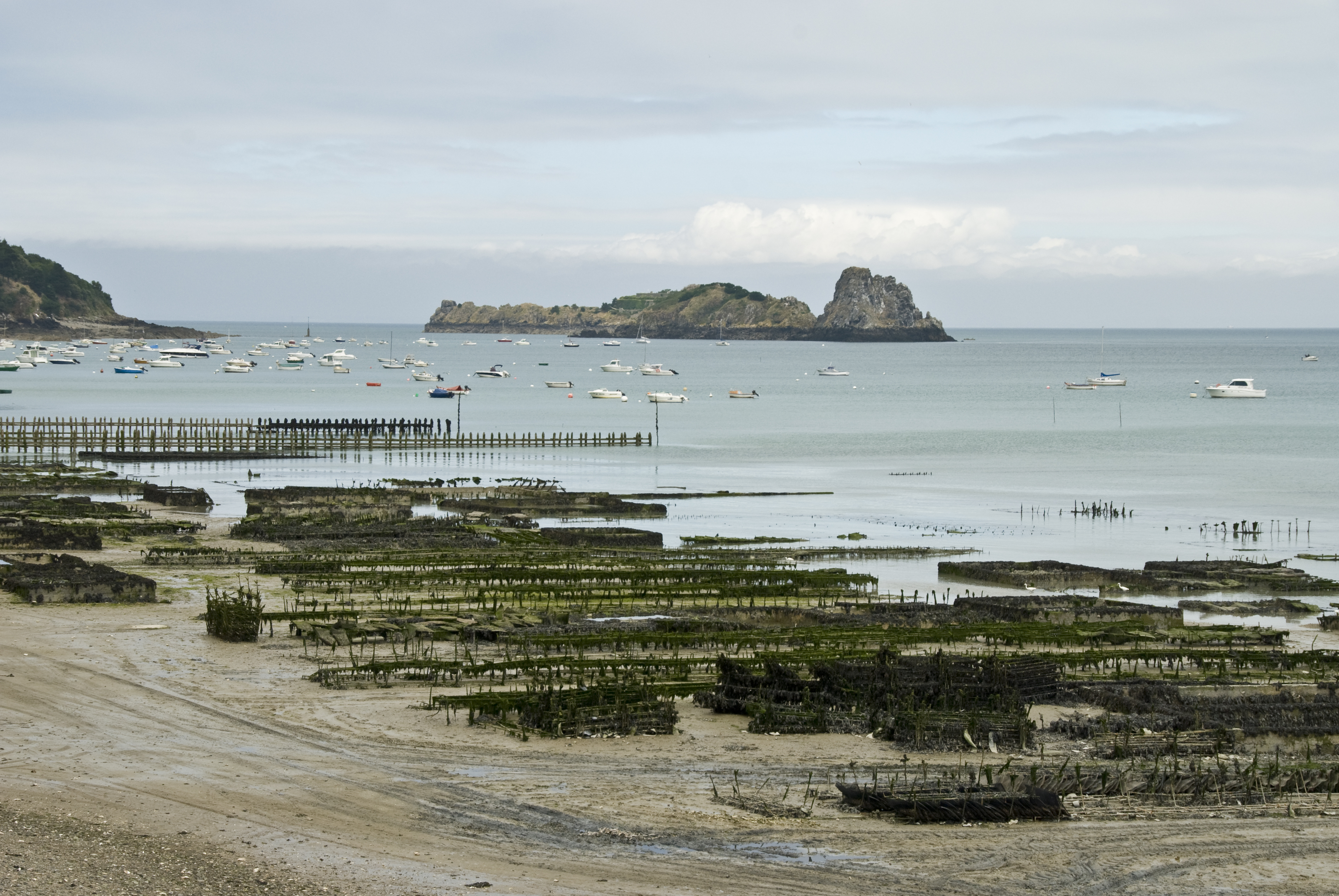 Austernzucht Cancale