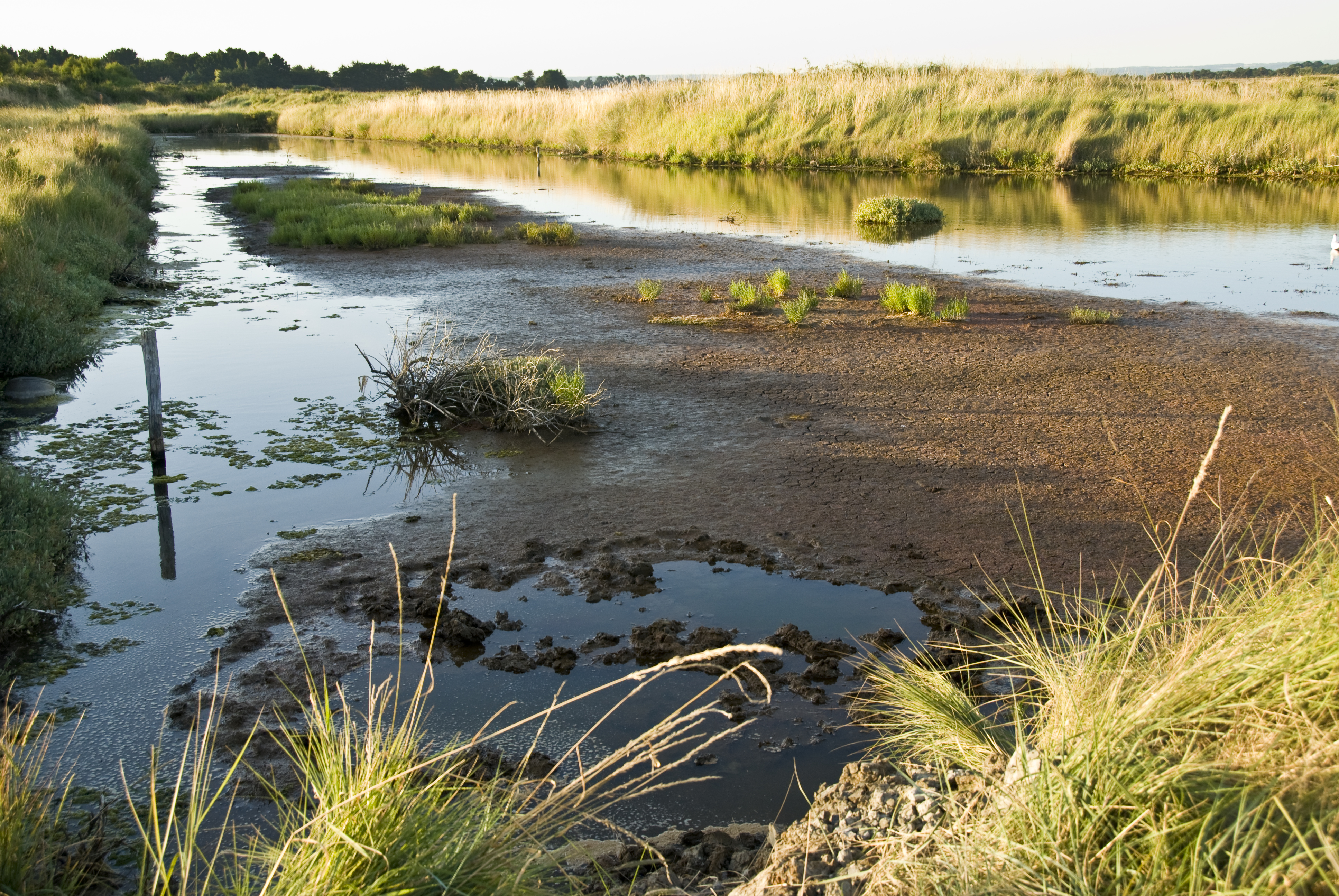 Golf  von Morbihan
