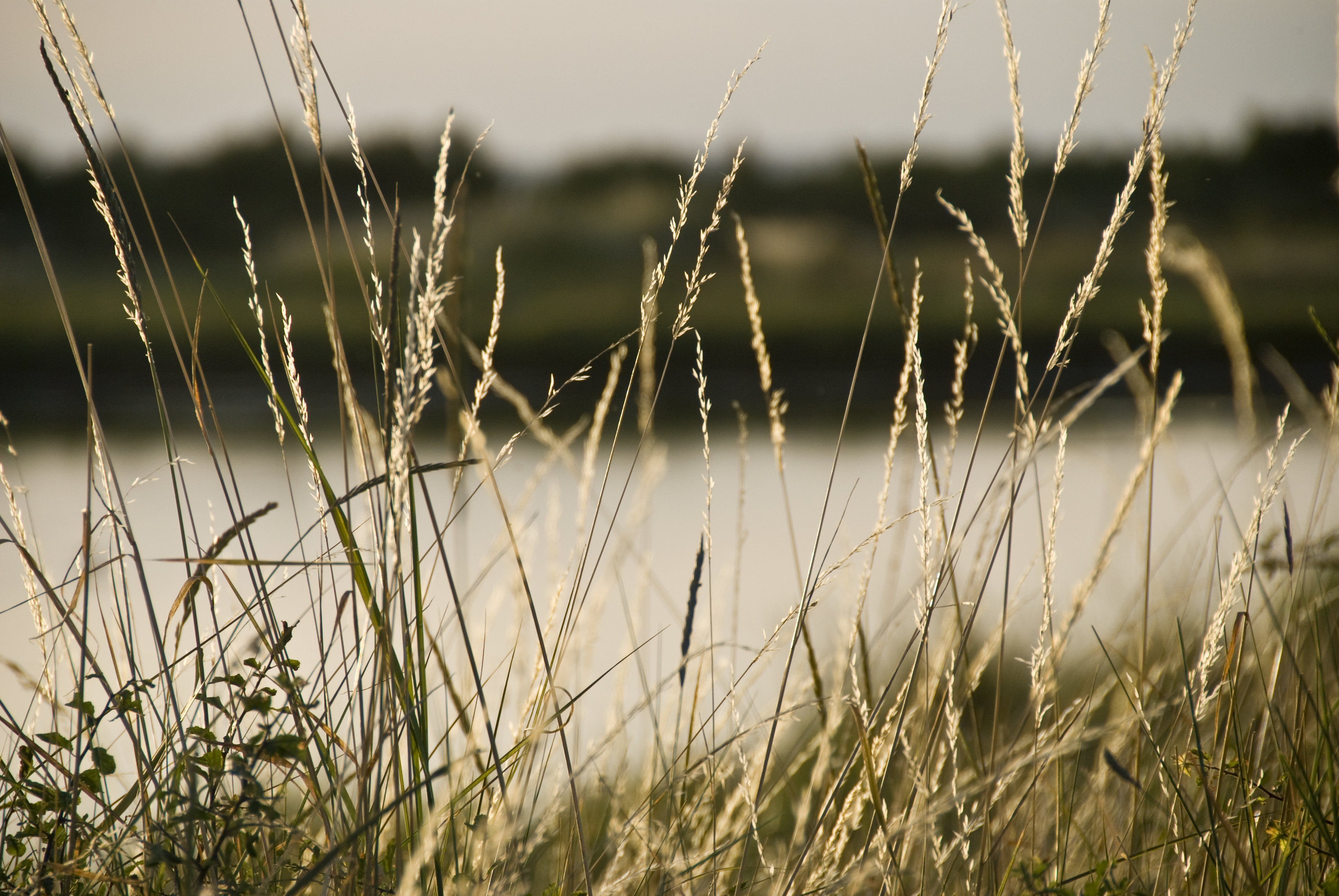 Golf  von Morbihan