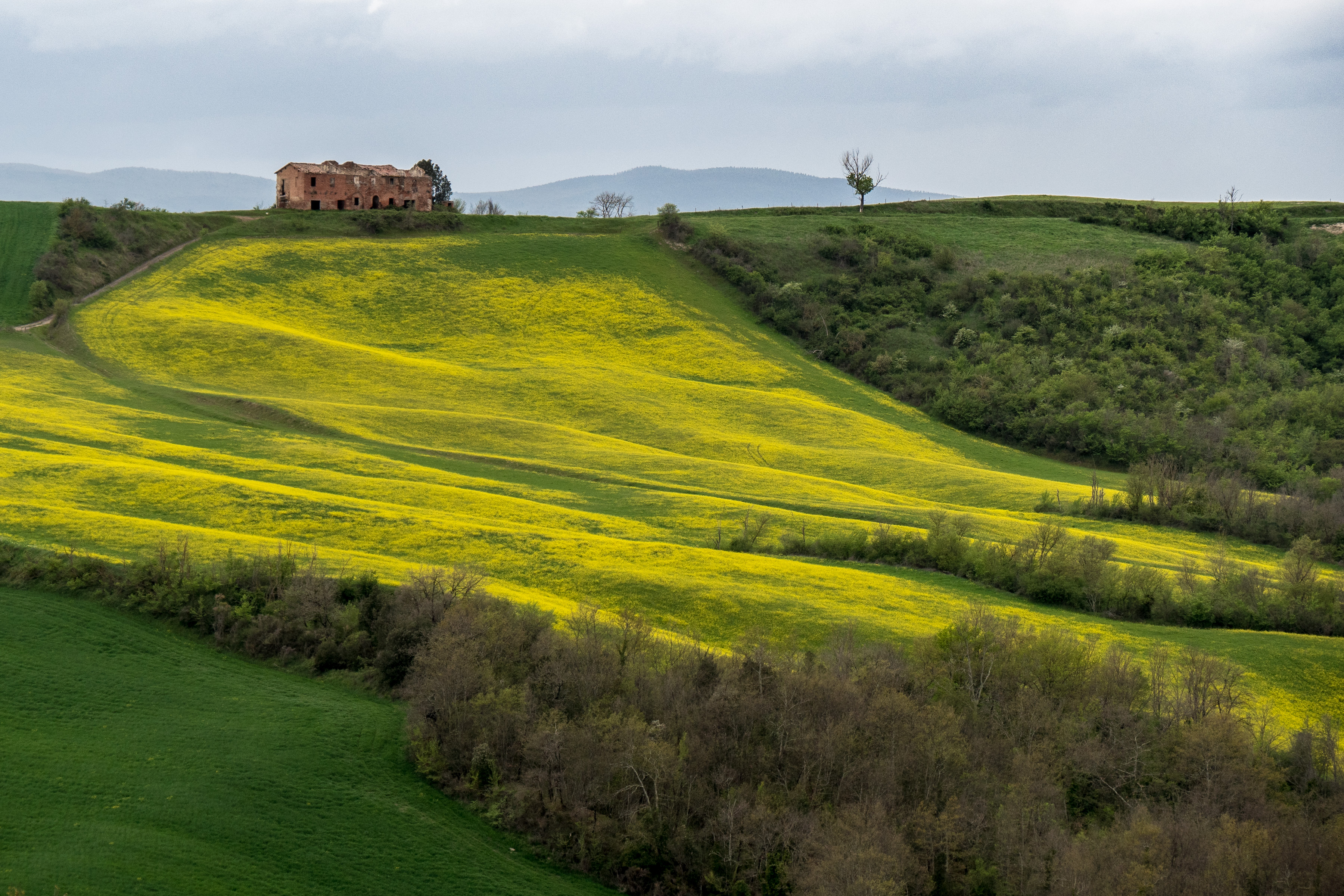 Valle d'Orcia