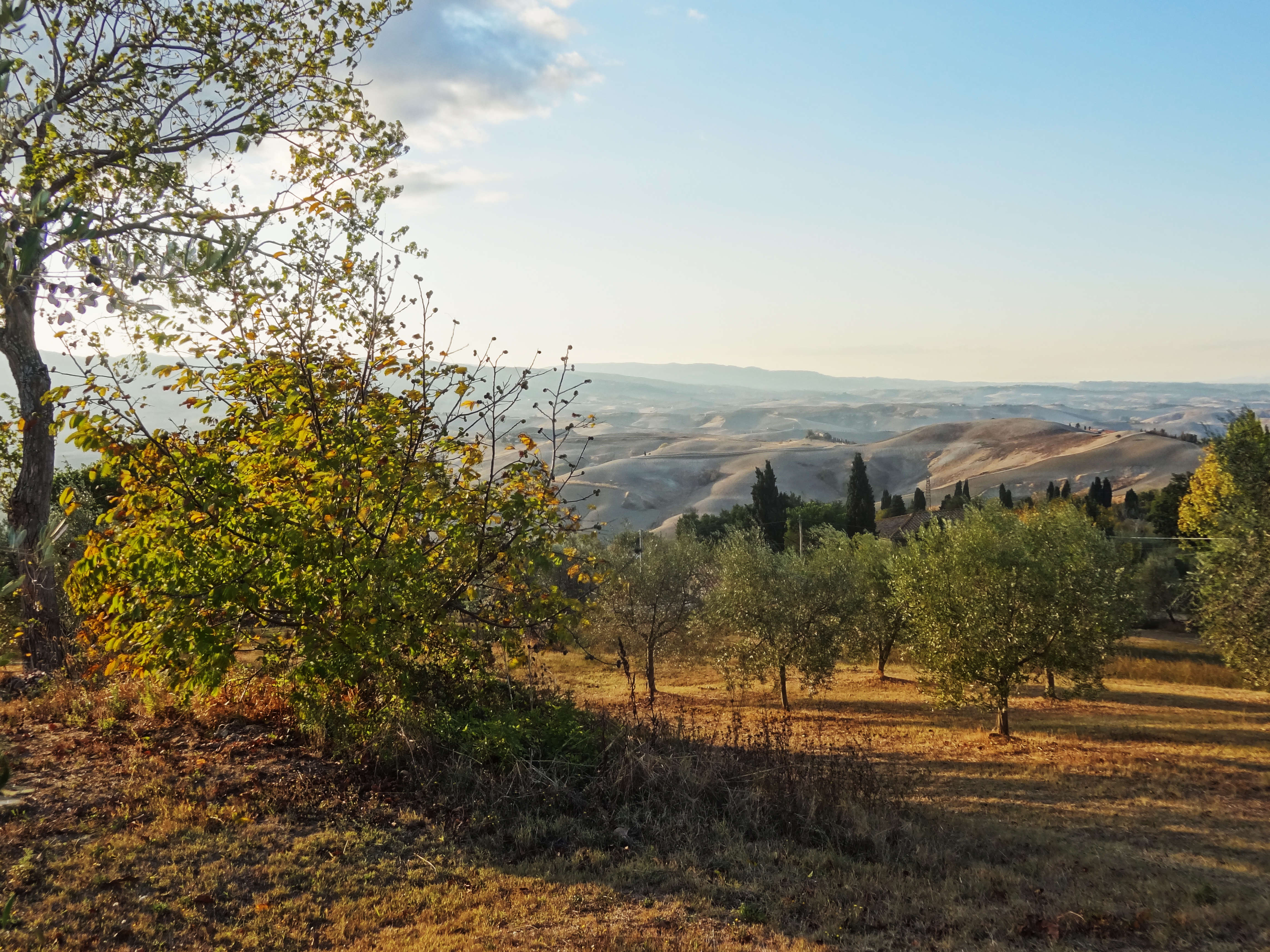 unterwegs in der Toscana