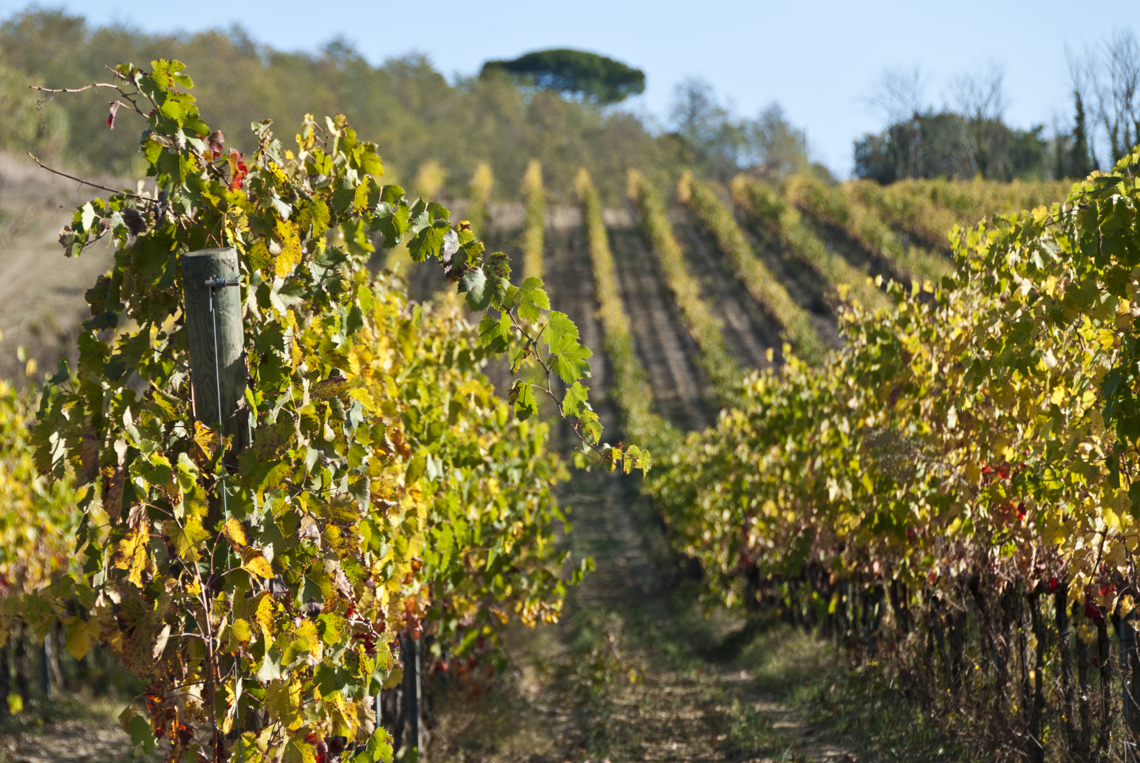 unterwegs in der Toscana