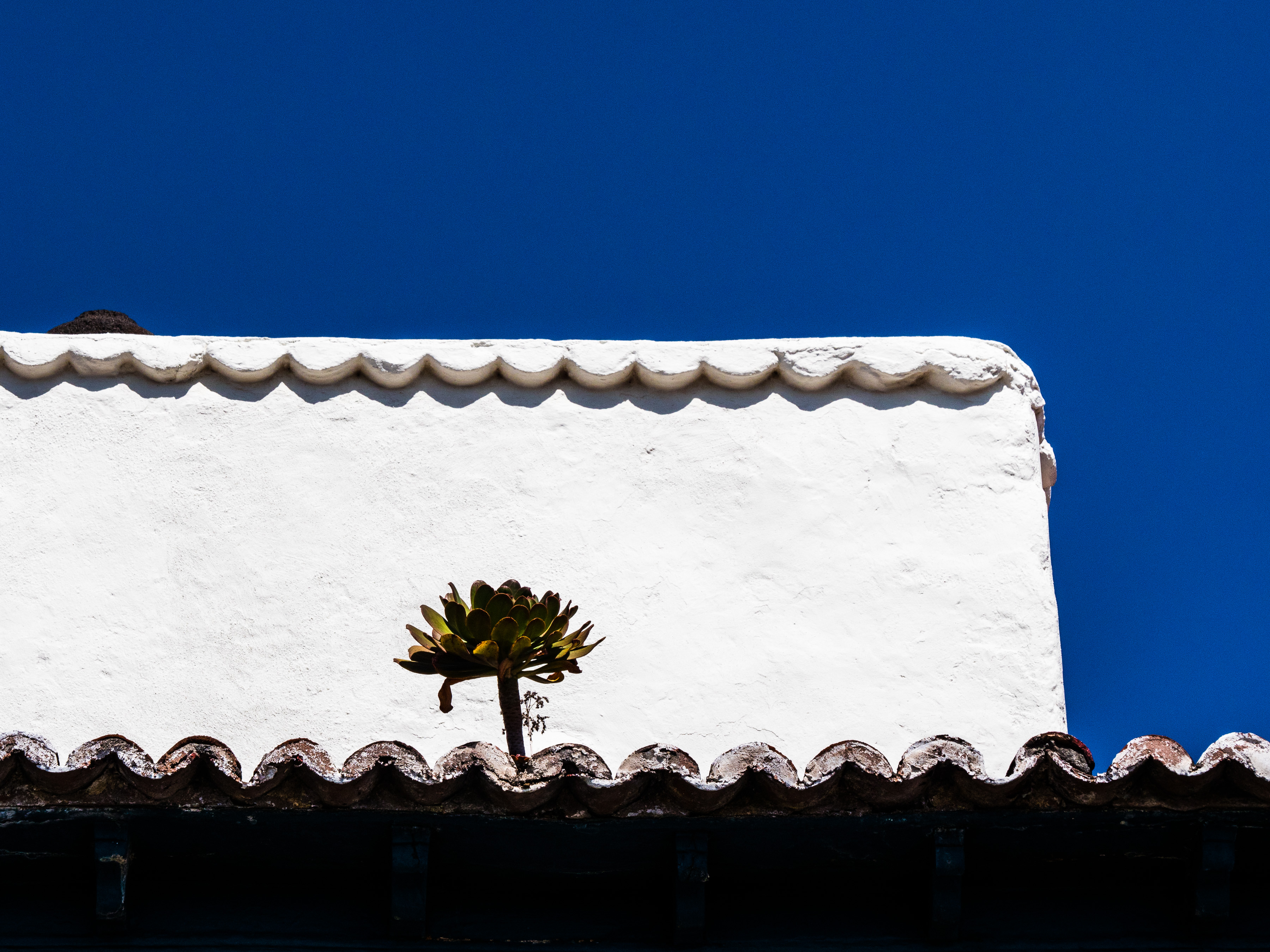 Santa Cruz
