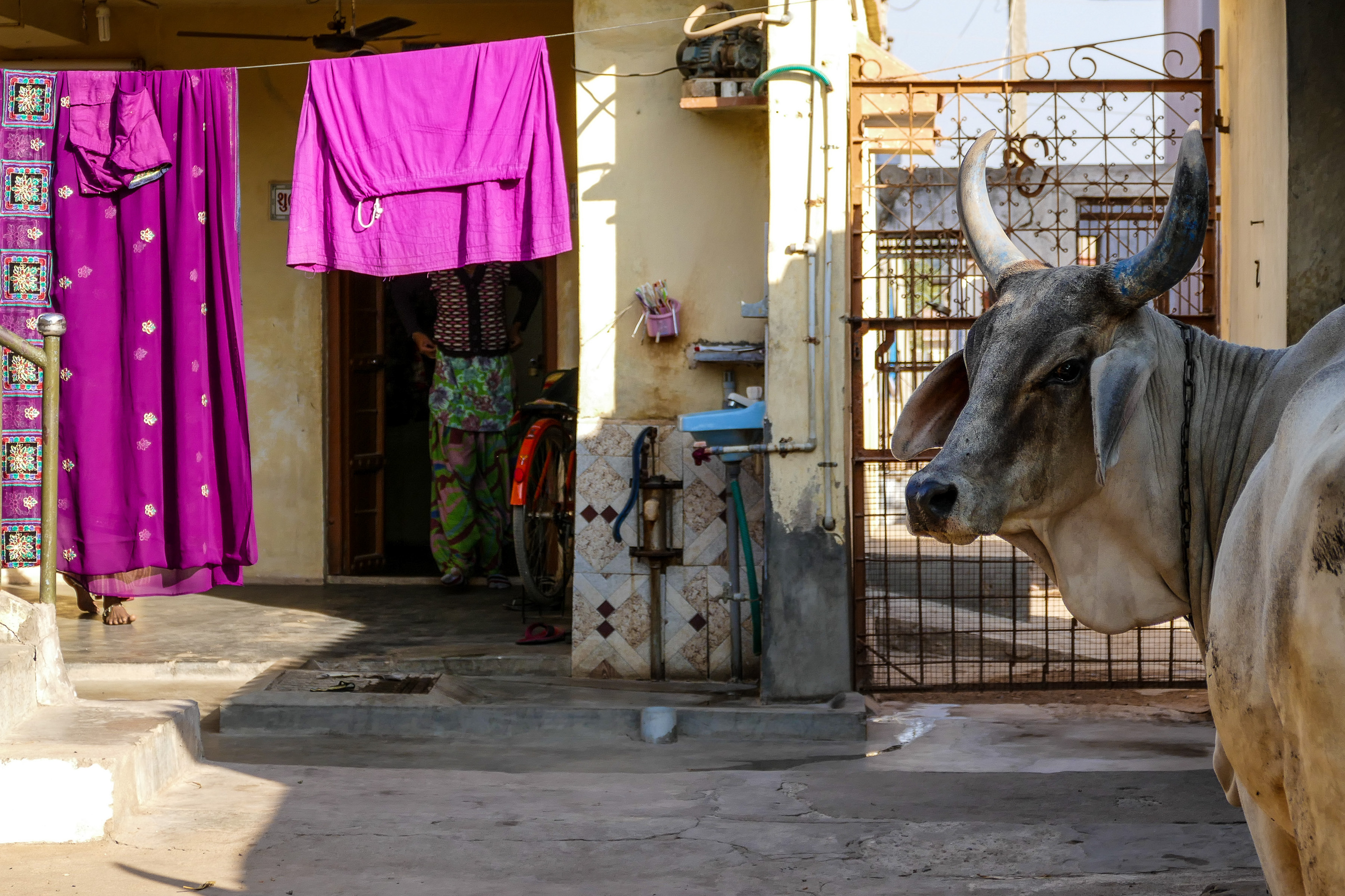 Bhuj, Gujarat Indien