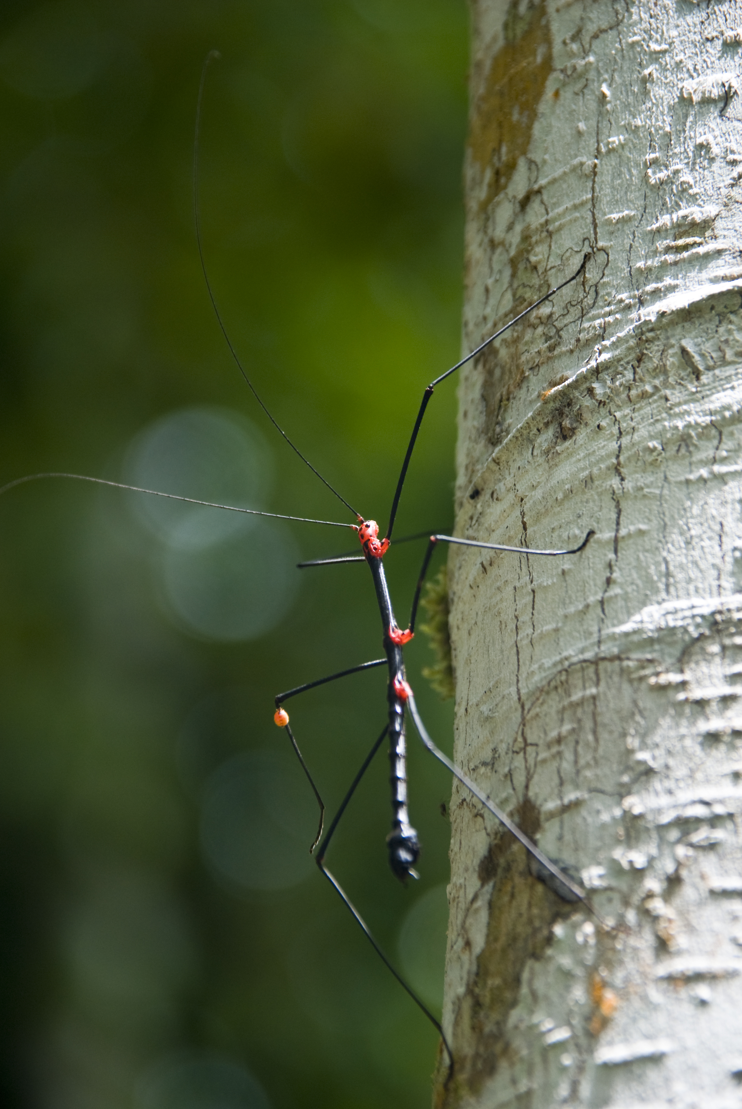 Ausflug in die Natur